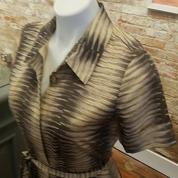 Collared Button-Front Dress - Picture 2 of 6